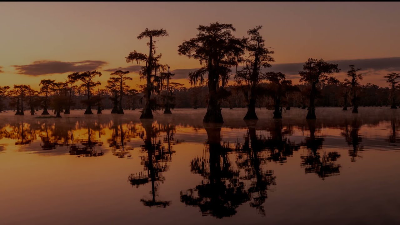 Caddo Lake Fall 2021
