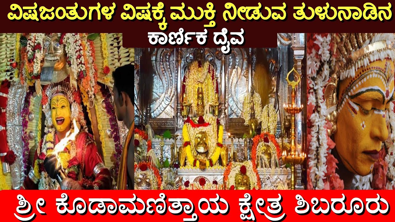 Shree Kodamanithaya Kshetra, Shibaroor | Tibar Nema | Kodamanithaya| #kannada #devalayam