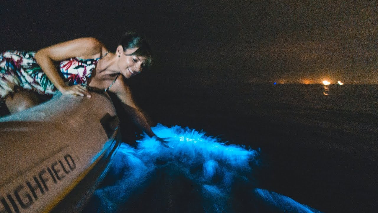 CRAZY INTENSE Glowing Water & a 42 Hour Bus Trip || Sail Ecuador