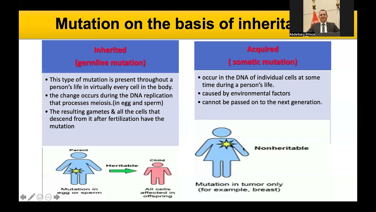 Mutation Part 1