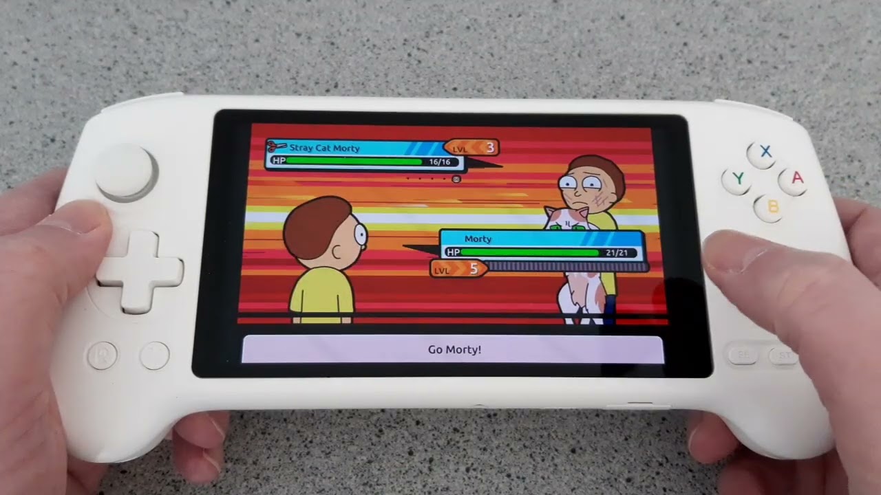 Anbernic rg557 pocket mortys (Rick and Morty)