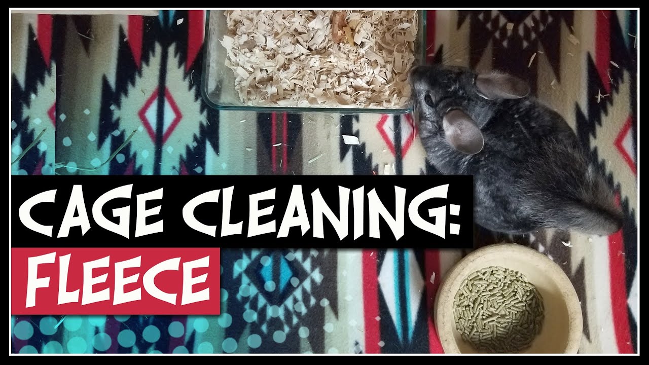 CHINCHILLA CAGE CLEANING: FLEECE | How to use Fleece Bedding in a Chinchilla's Cage