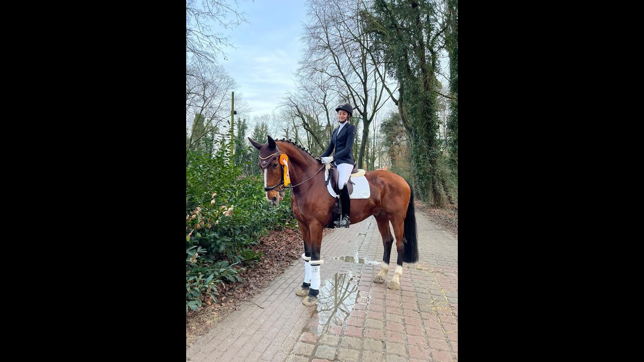 Sieg Dressurreiter L in Bremen10 02 24 Lina Ebler & Zacharia