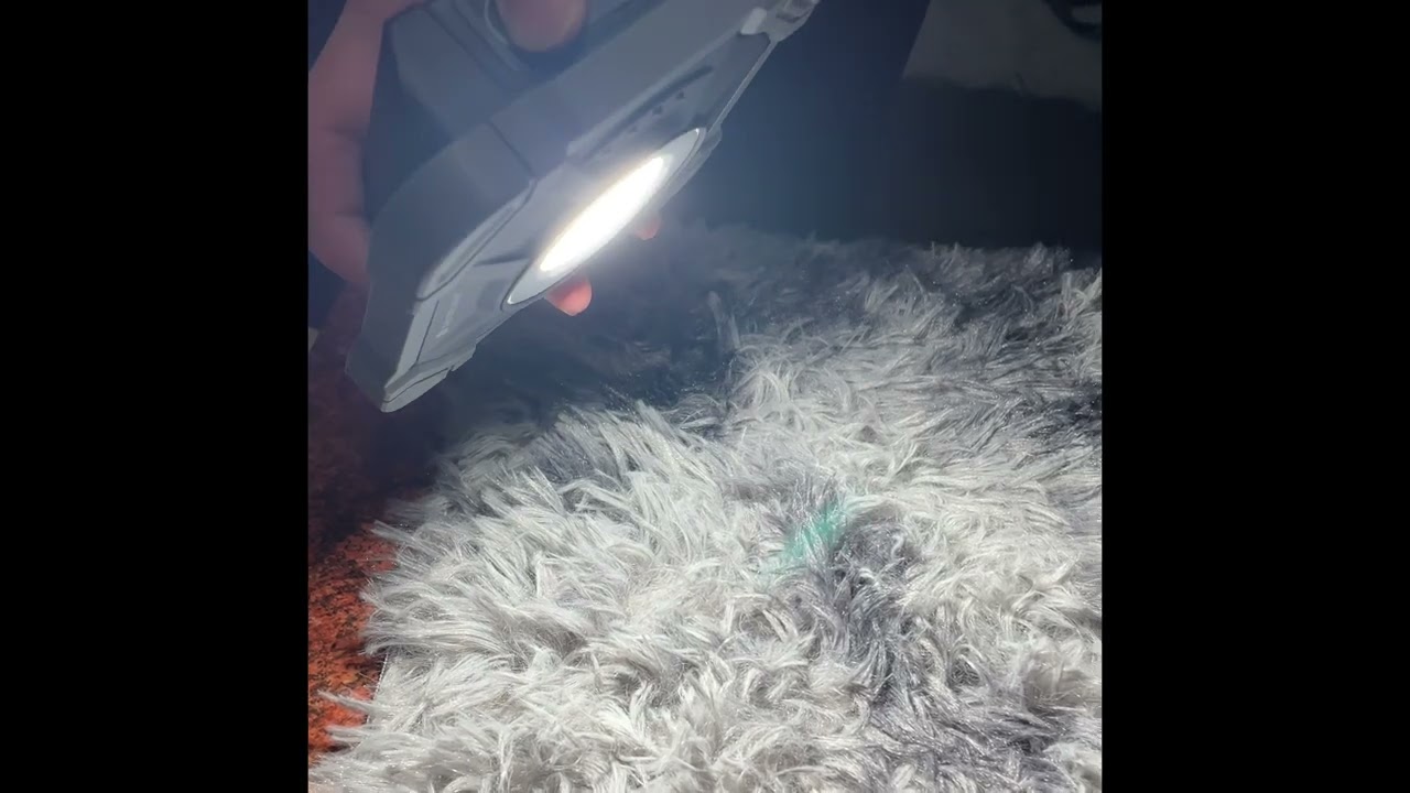 舞光手持工作燈