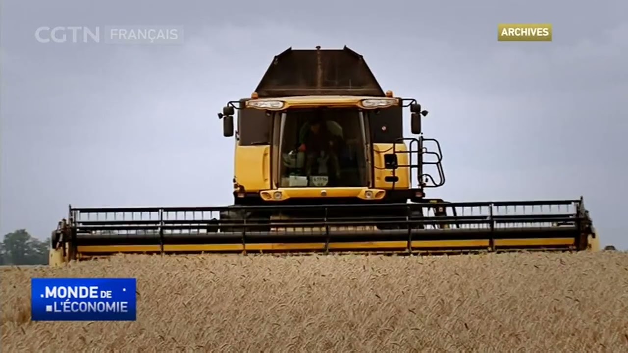 L'approvisionnement alimentaire mondial affect&eacute; alors que la Russie limite ses exportations
