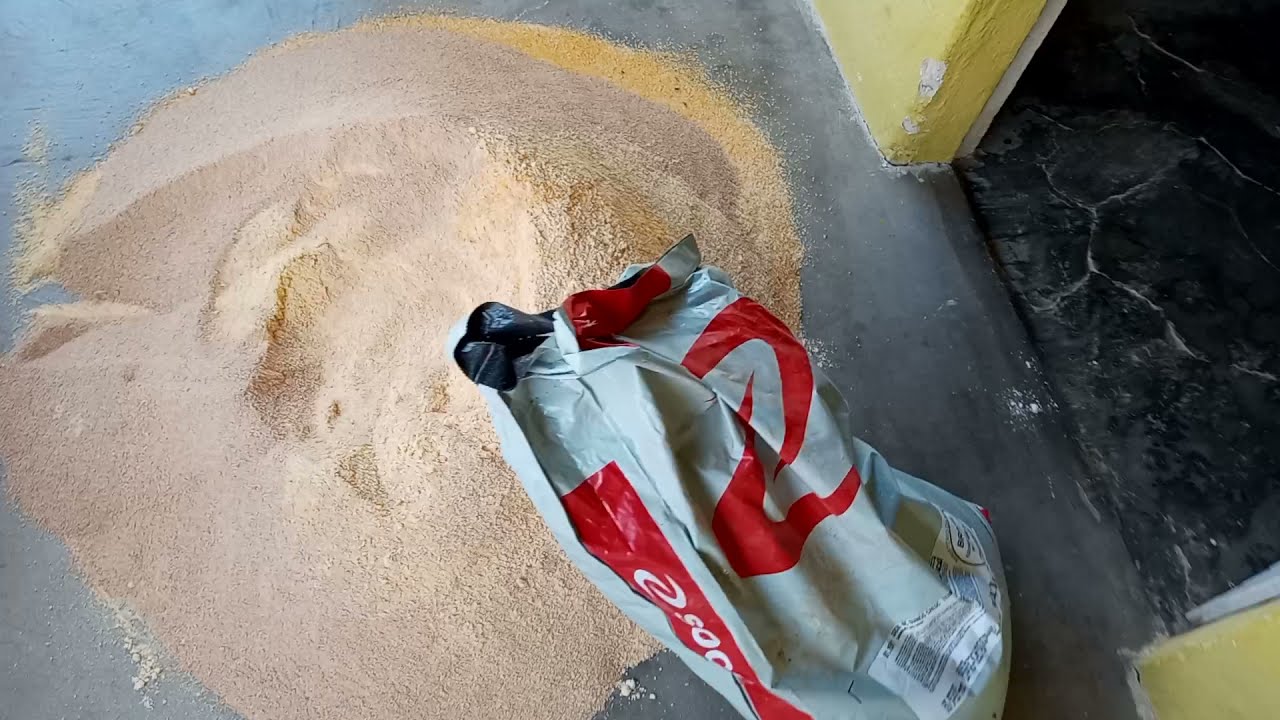a melhor ração de crescimento e engorda para porcos.