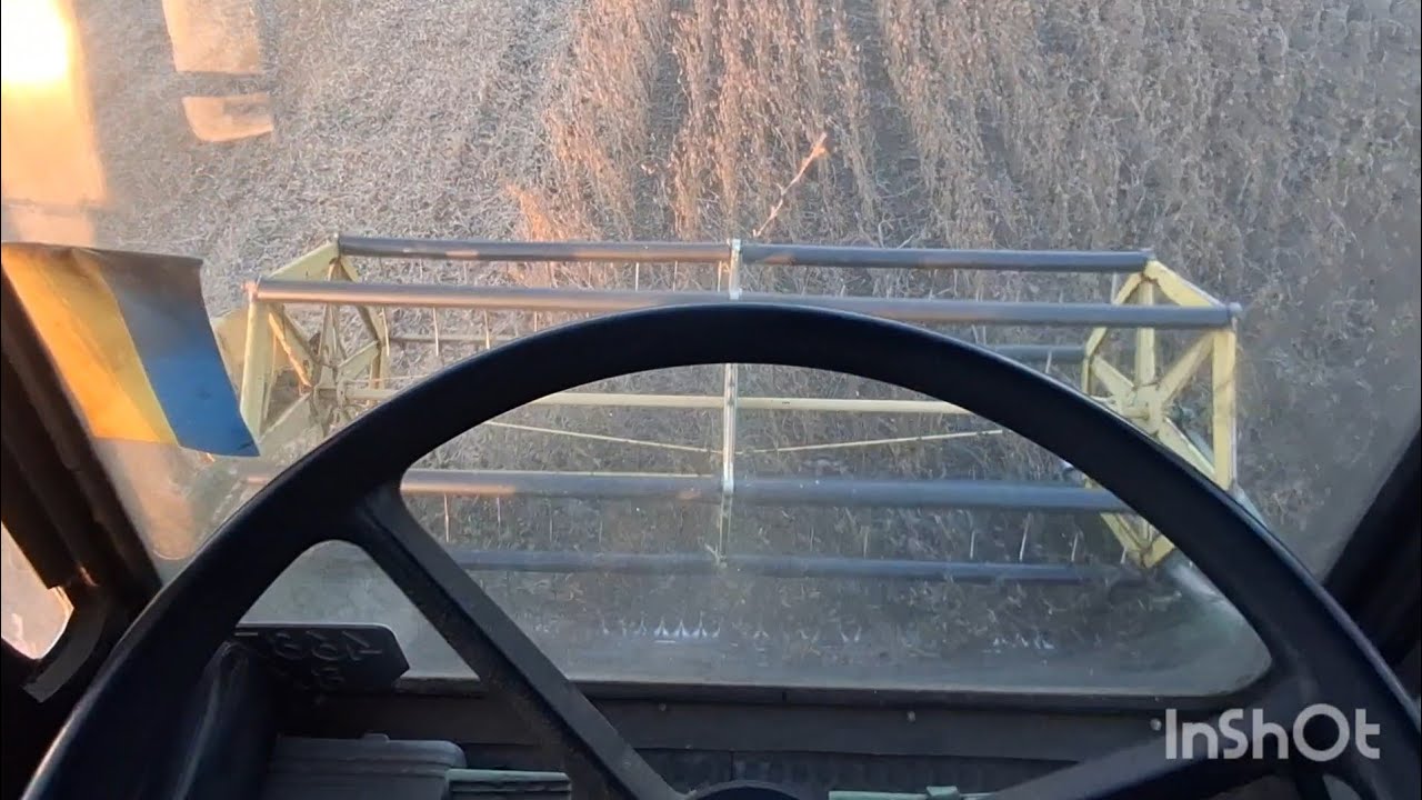 Як ми кумові молотили сою морозом 🚜💪