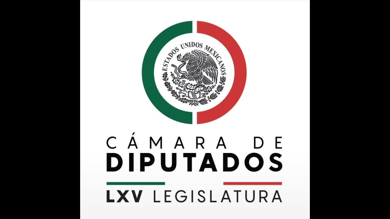 Cámara de Diputados Logo History Reversed