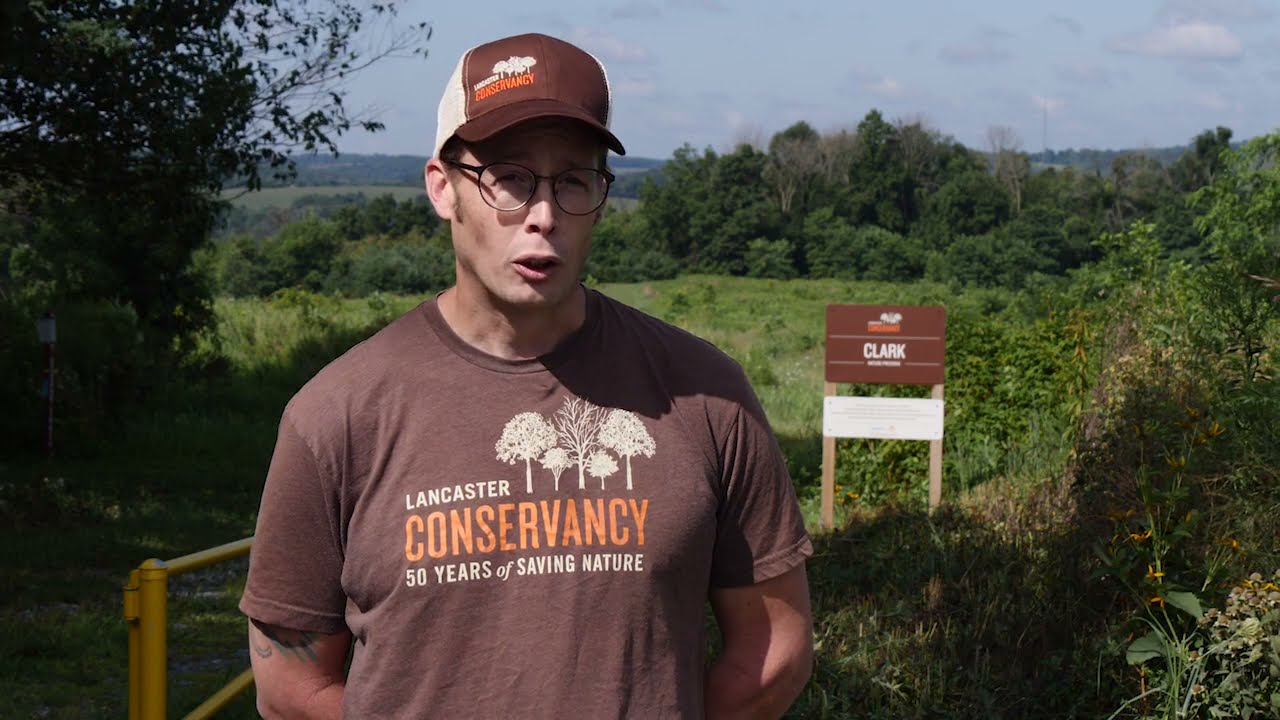 Clark Nature Preserve