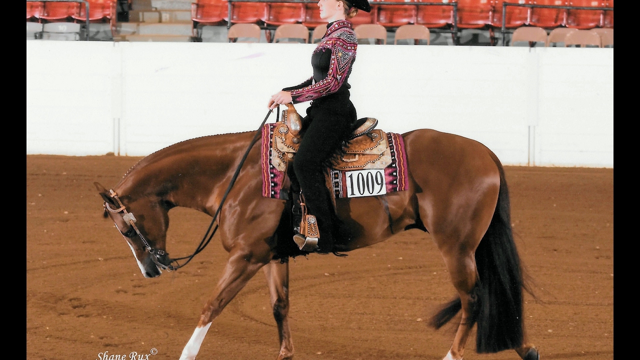 Cora Wyers NCAA Equestrian Recruitment Video