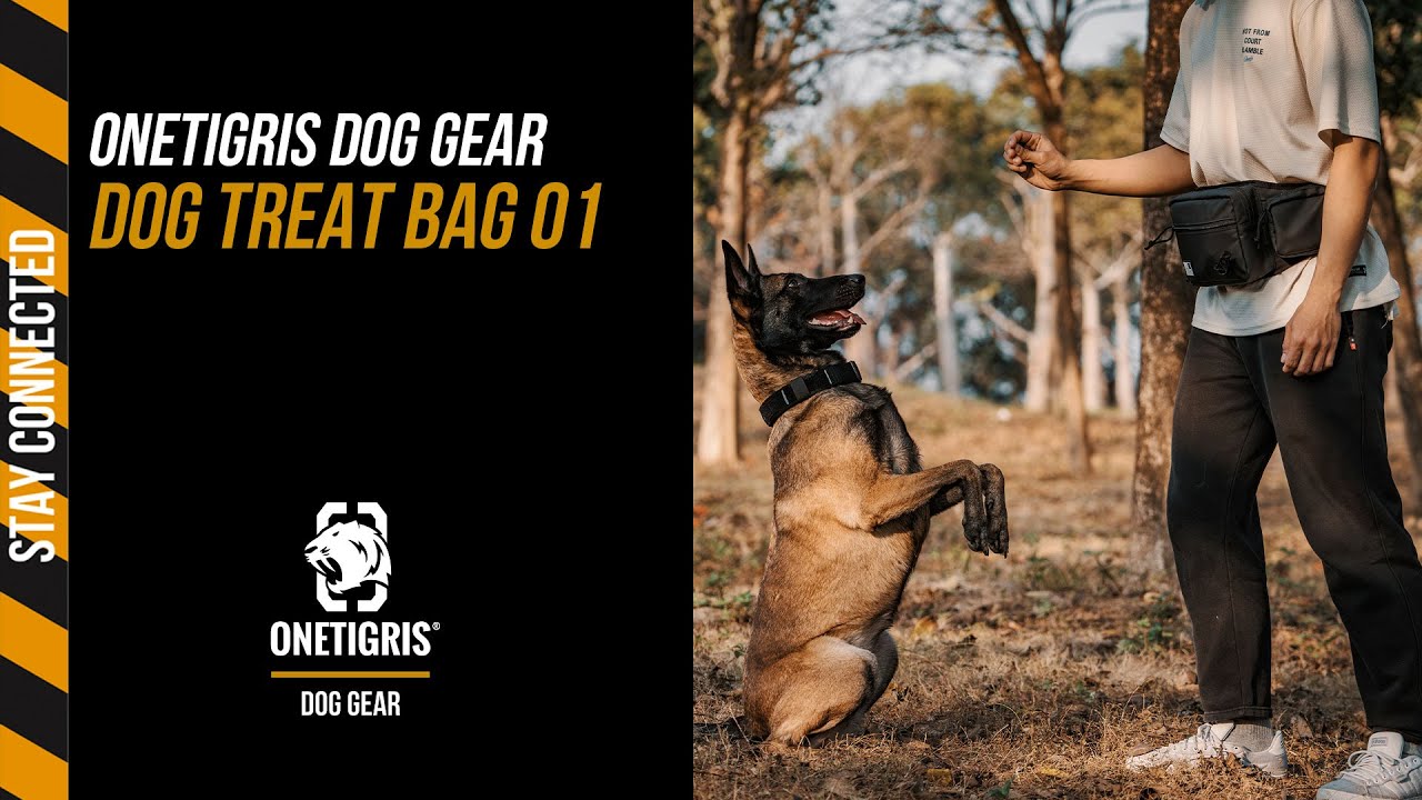 Dog Treat Bag 01 | ONETIGRIS DOG GEAR