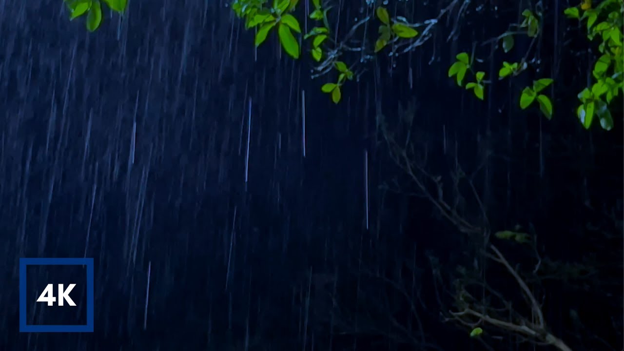 GENTLE RAIN at Night falling on Trees to Sleep Fast, Beat insomnia, Relax, Study Better 10 Hours