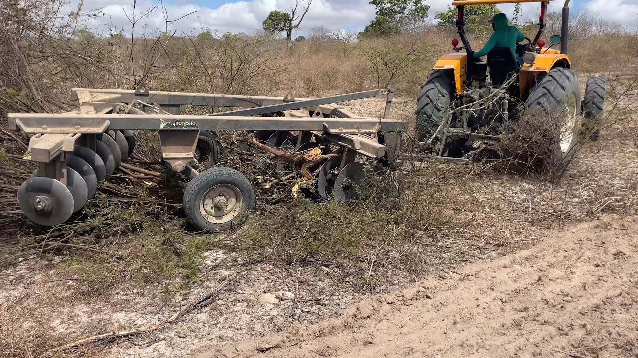 Trator valtra botou furando  com a grade nos pés de Jurema 