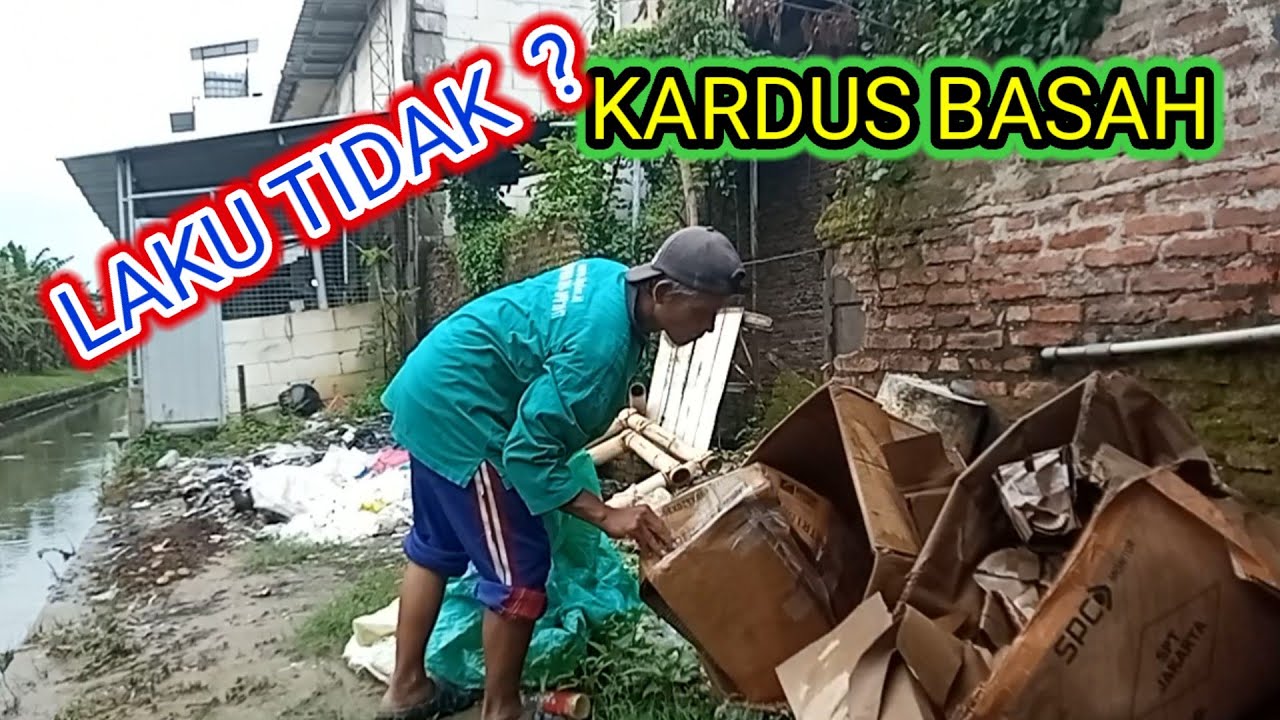 Kardus basah kuyup 