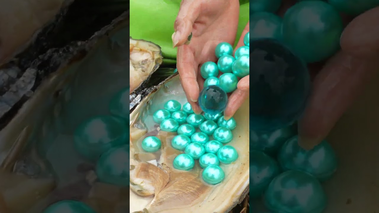 Girl's Lucky Find: Pearls Inside Giant Mutant Clam in River #pearl