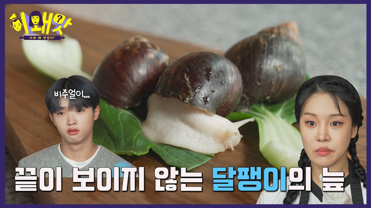 [EN/JP] 미래소년 손동표와 달팽이ㅣ이왜맛 EP31
