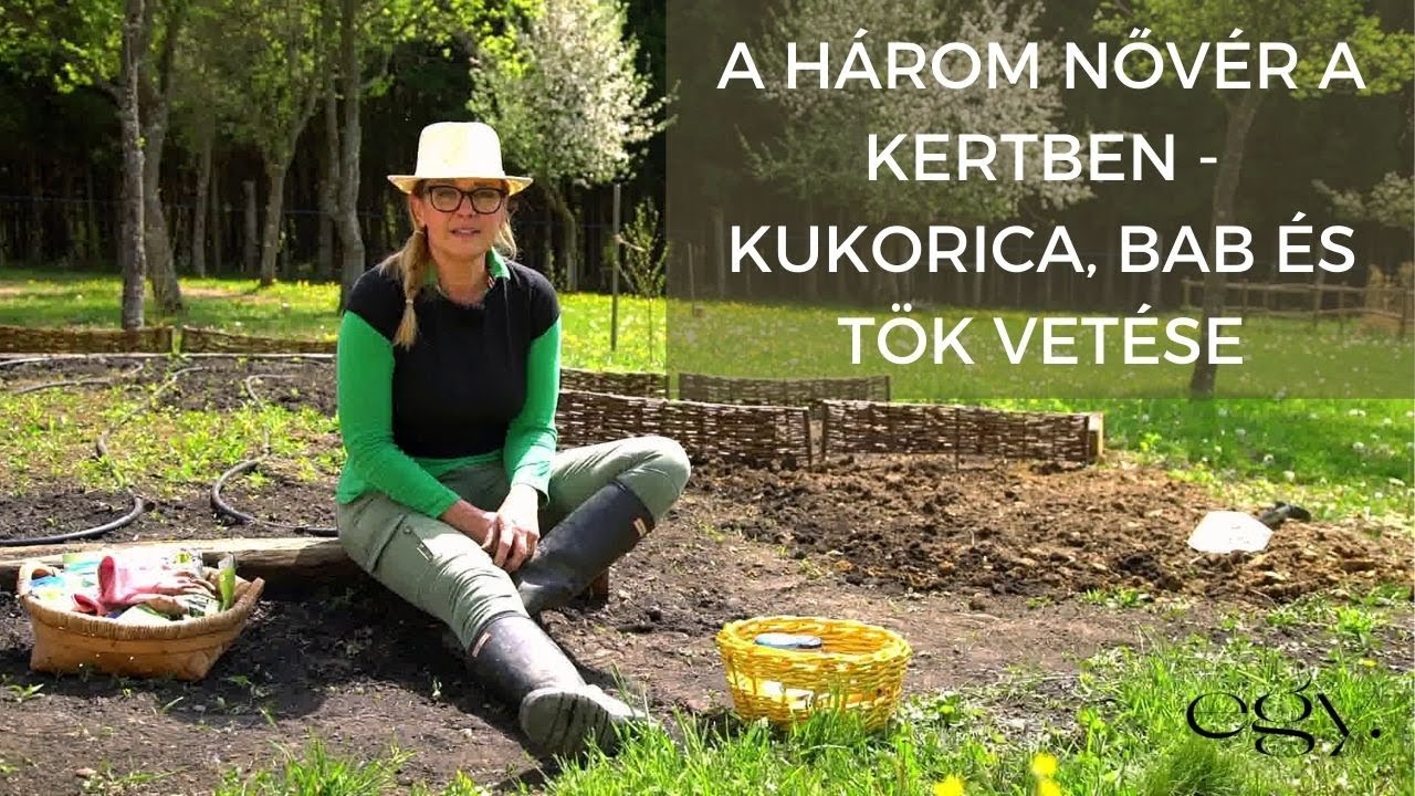 Borbás Marcsi: Kertem - A három nővér a kertben - kukorica, bab és tök vetése (4. rész)