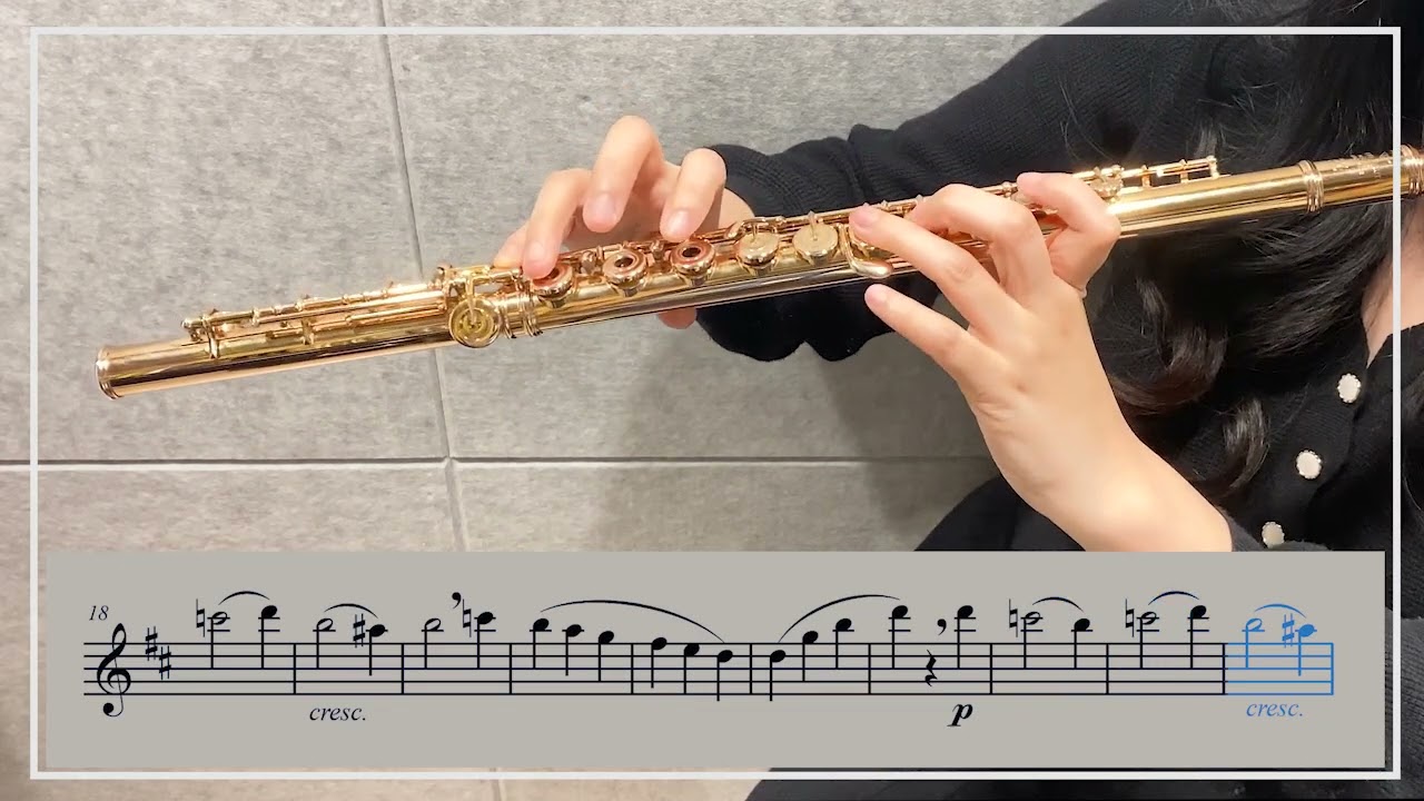 가리볼디 플루트 에튀드 Op. 131 7번 D Major