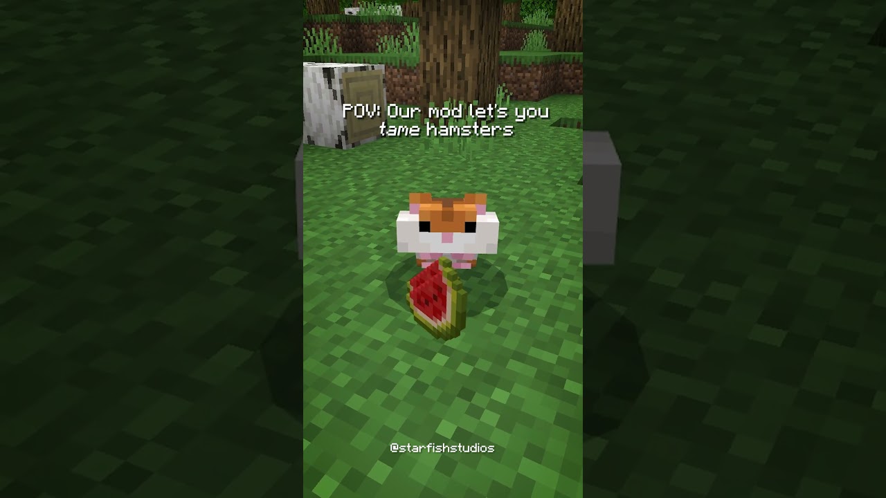 POV: Наш мод позволит вам приручить ХОМЯКОВ🐹