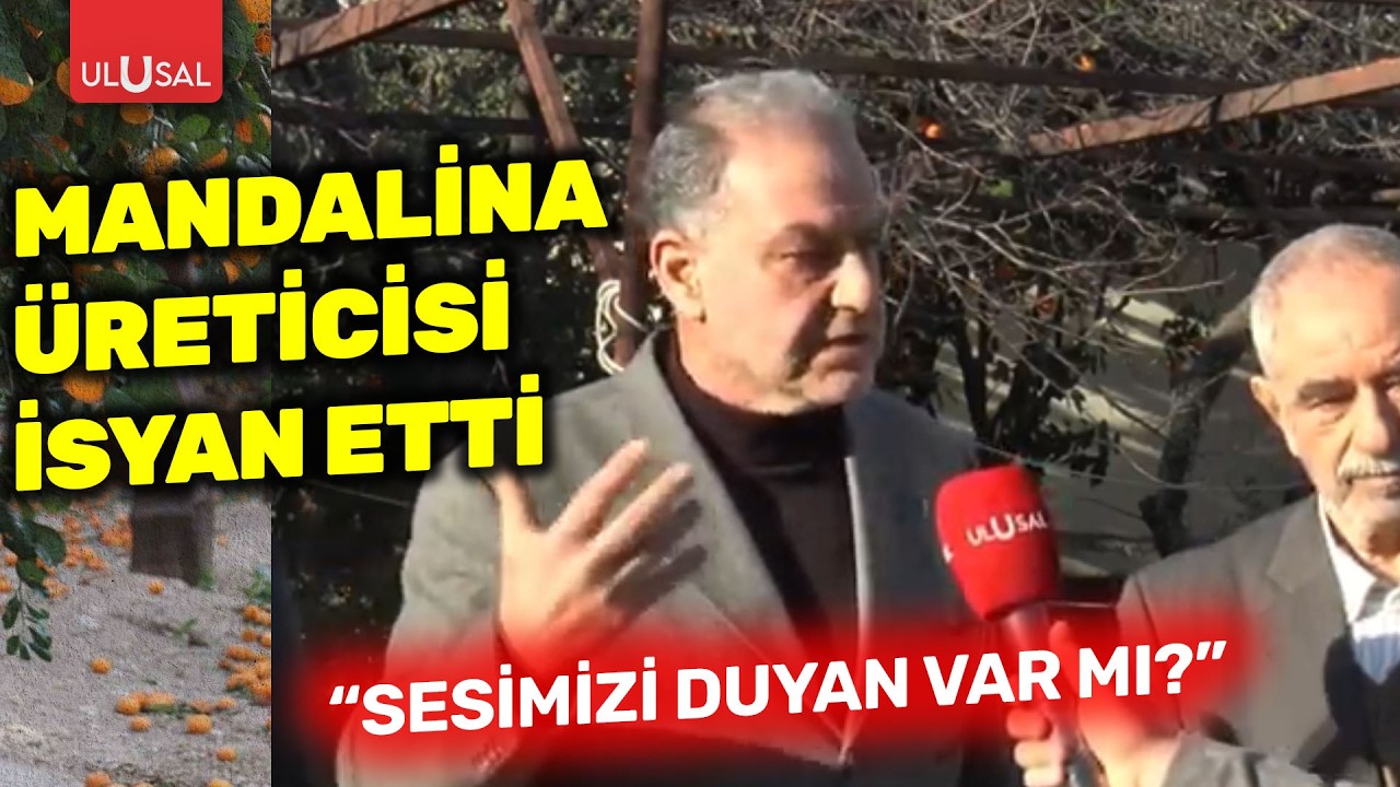 Mandalina üreticisi isyan etti: 