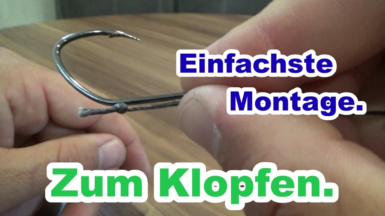 Einfachste Welsmontage zum Klopfen mit Tauwurm. Angeln auf Wels mit Wallerholz. #livebiss Waller