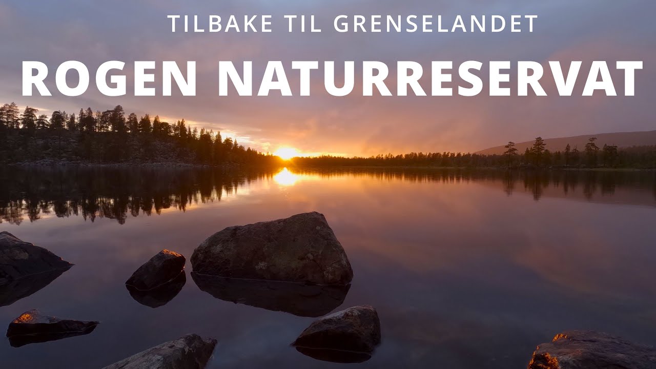 Rogen Naturreservat - Tilbake til grenselandet