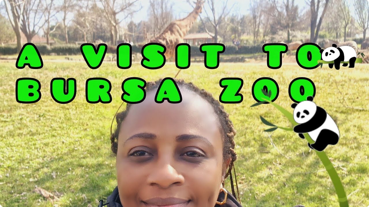 From Istanbul To Bursa II Lets Visit The Zoo-How Many Animals Do You Know By Name II A Fun Day