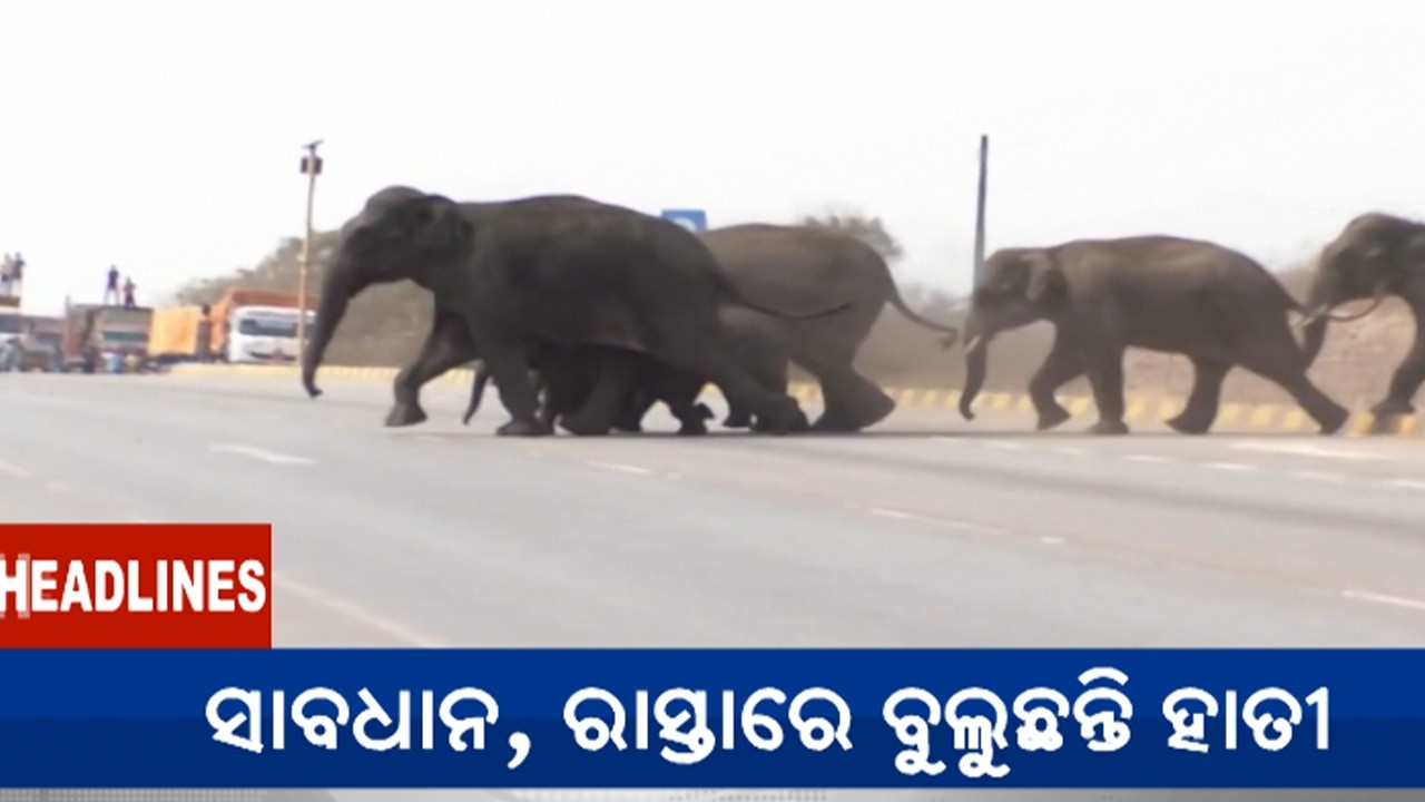 4 PM Headlines || February 12, 2026