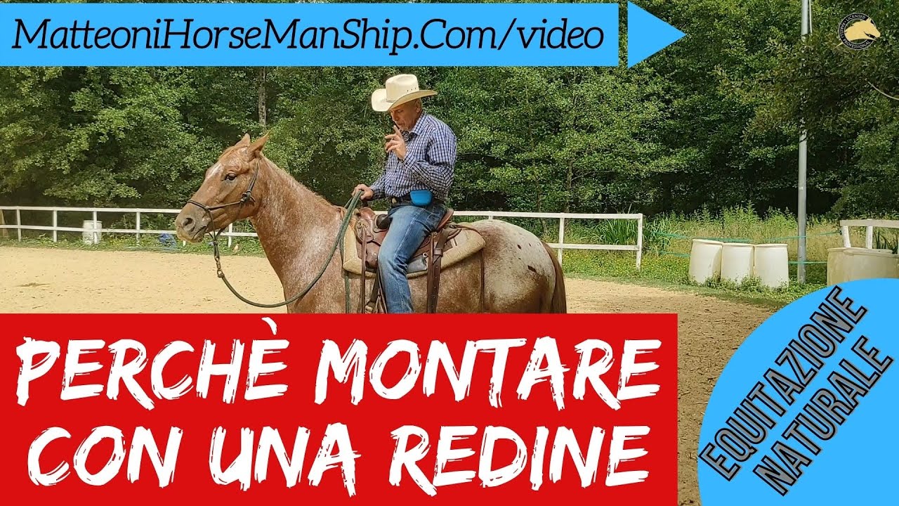Perchè montare con una redine sola