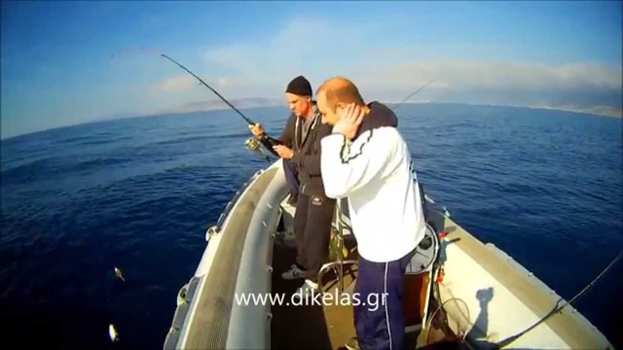 ΚΑΘΕΤΗ ΣΤΗΝ ΚΑΡΥΣΤΟ 1 dikelas.gr