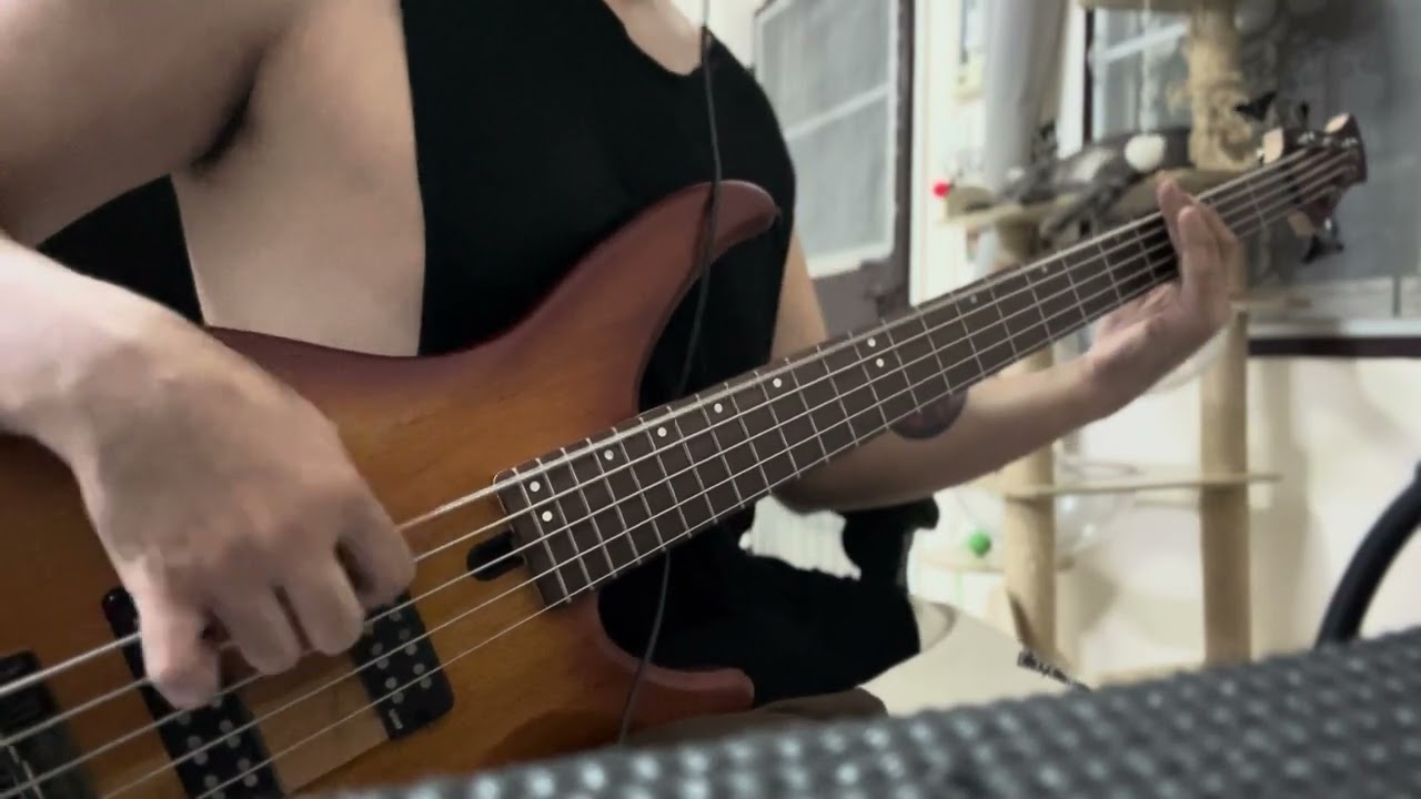 มูเตลู (MUTELU) | PiXXiE | Bass Cover [ Live Version. ]
