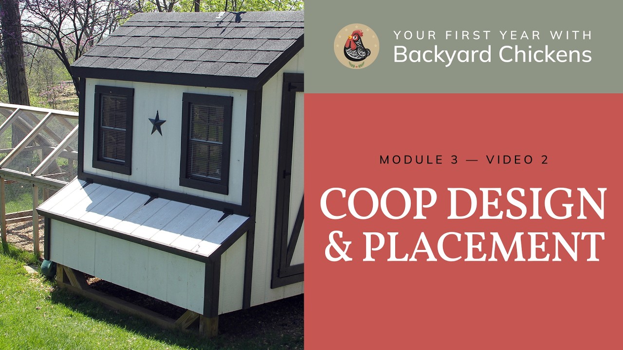 M3 V2 Coop & Run: Design & Placement