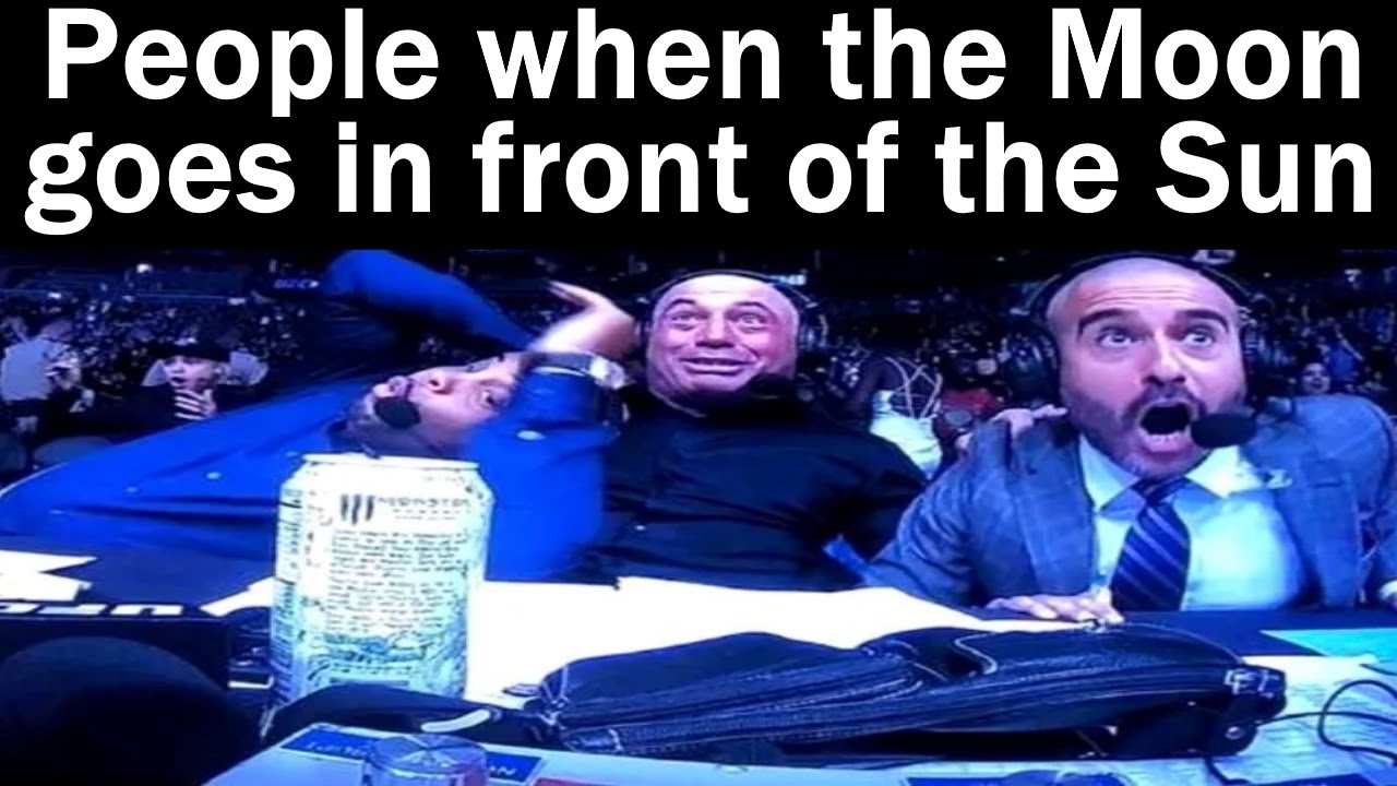 Nightly Juicy Memes 1031 + 1032