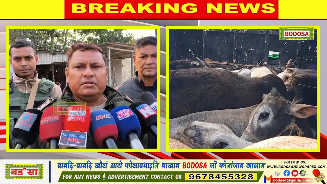 गसाइगावआव मोसौफोरखौ खावनानै लांनाय गंसे गारिखौ हमनो हादों।