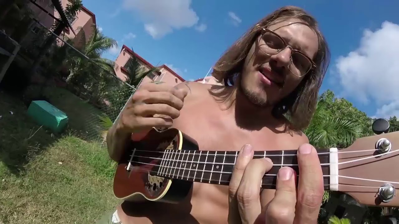 HOW TO FLY   UKULELE COVER   STICKY FINGERS