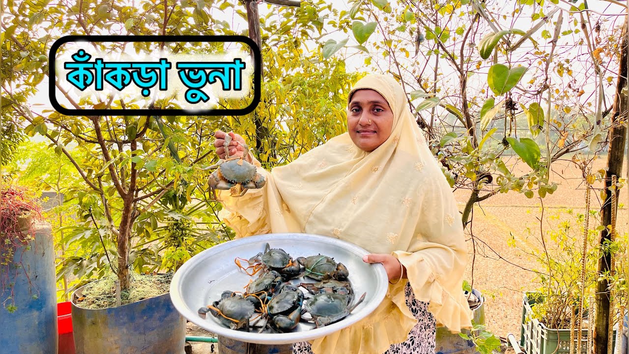 খুবই সহজে কাঁকড়া পরিস্কার করা থেকে লাল লাল ঝাল ঝাল করে ভুনা করার দারুণ একটি রেসিপি।kakra vuna recipe