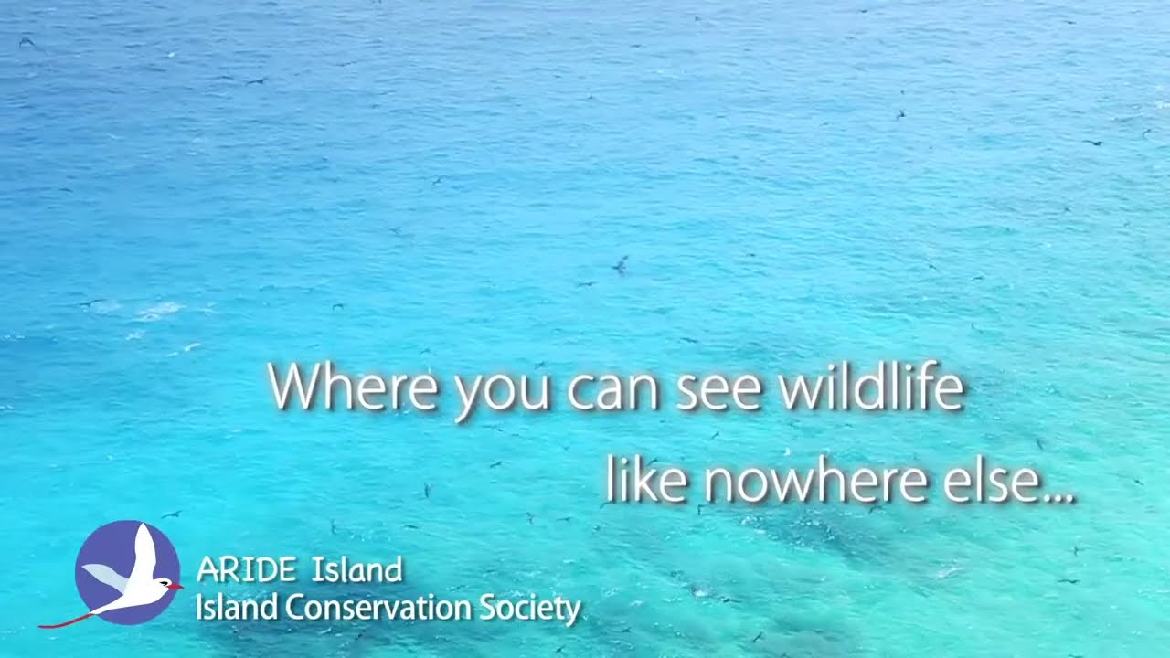 The wonders of Aride Island Special Nature Reserve
