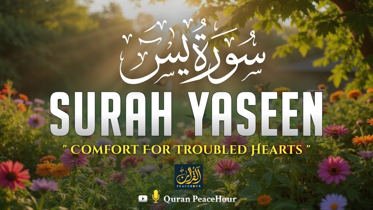 Surah Yaseen | سورة يس | Peaceful Quran Recitation to Relax the Heart and Strengthen Faith