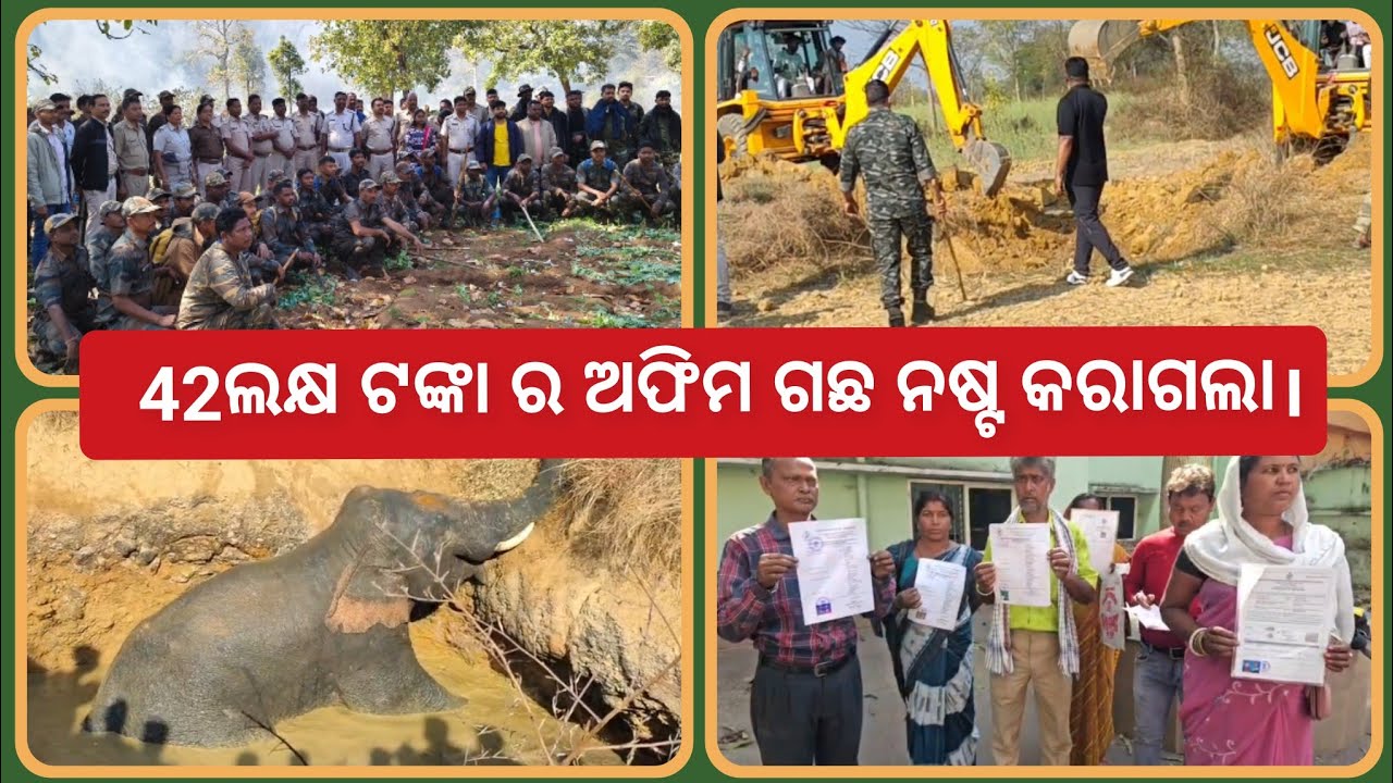 #odisha (19-02-26) BREAKING NEWS @Nation1stTv  | Like , Share and subscribe for more update