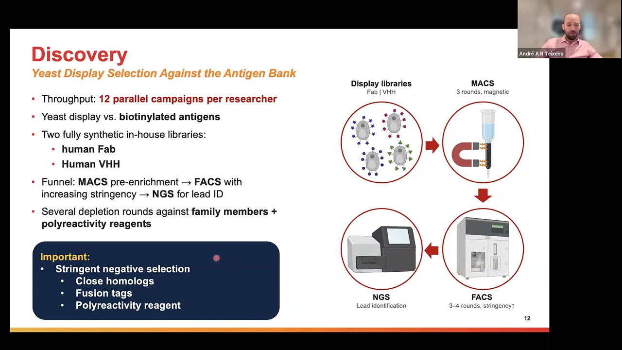 End-to-End Antibody Discovery: Yeast Display, Automation, AI, and Multispecifics