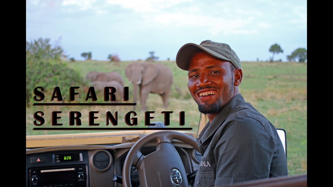 Elephants and Wildebeest  Migration.