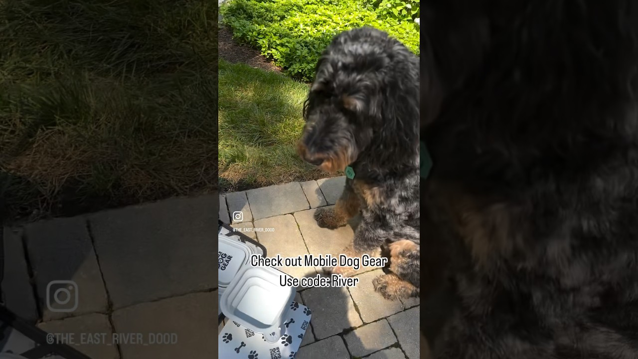 Mobile Dog Gear: Rolling Week Away Bag