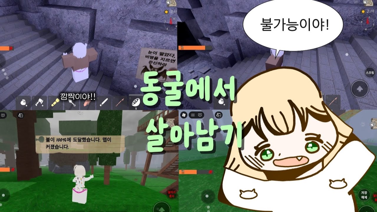 박쥐랑 친구되기 1일차