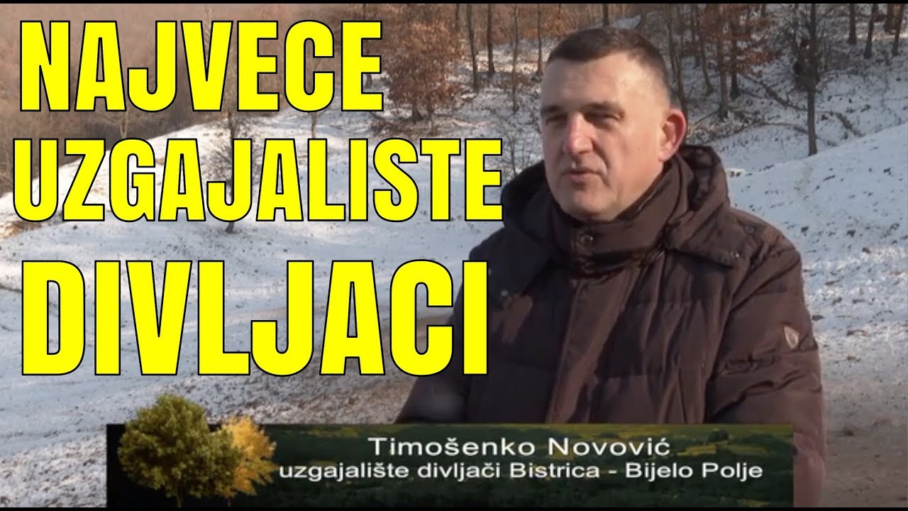UZGAJALISTE DIVLJACI - DRZI 700 JELENA LOPATARA I MUFLONA