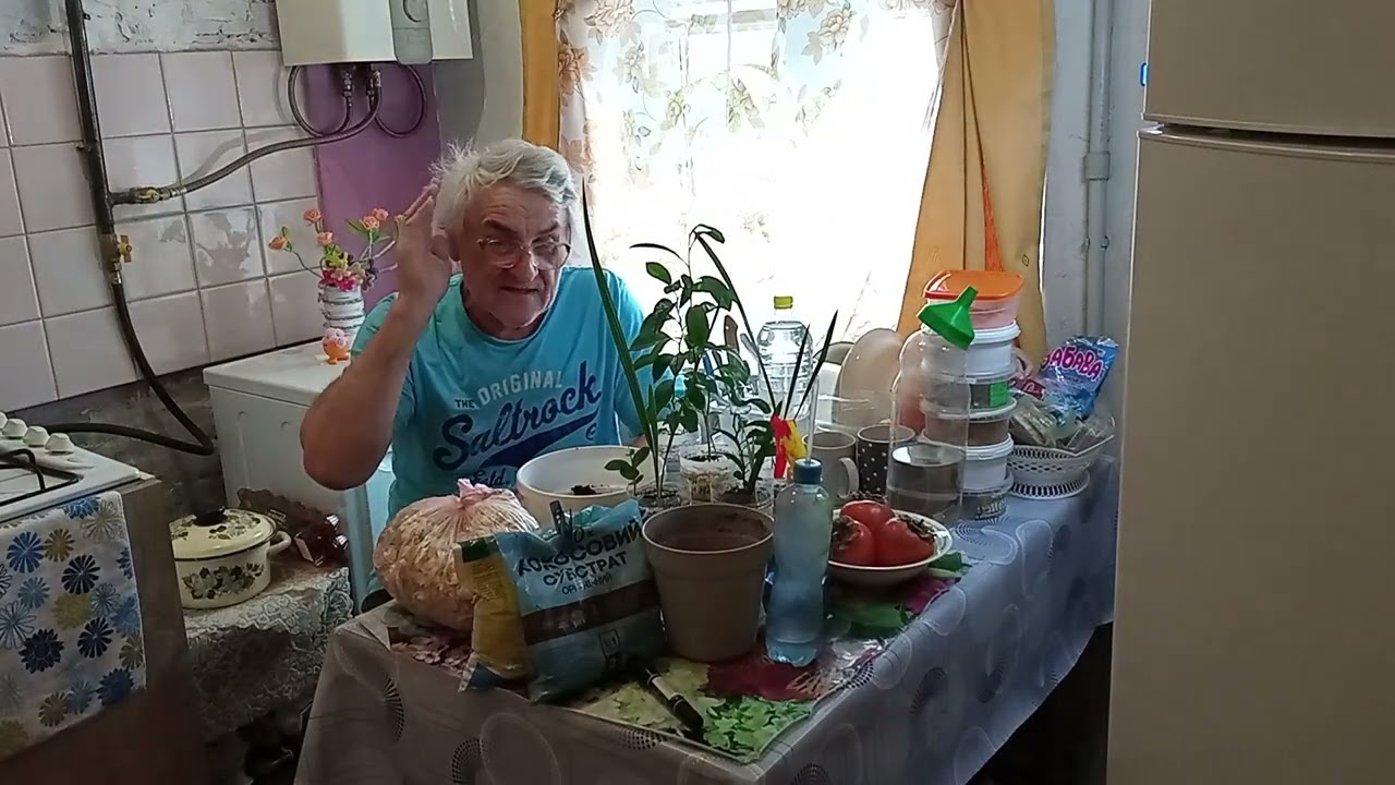 НУЖНО ПЕРЕСАДИТЬ ЛИМОНЫ и МАНДАРИНЫ