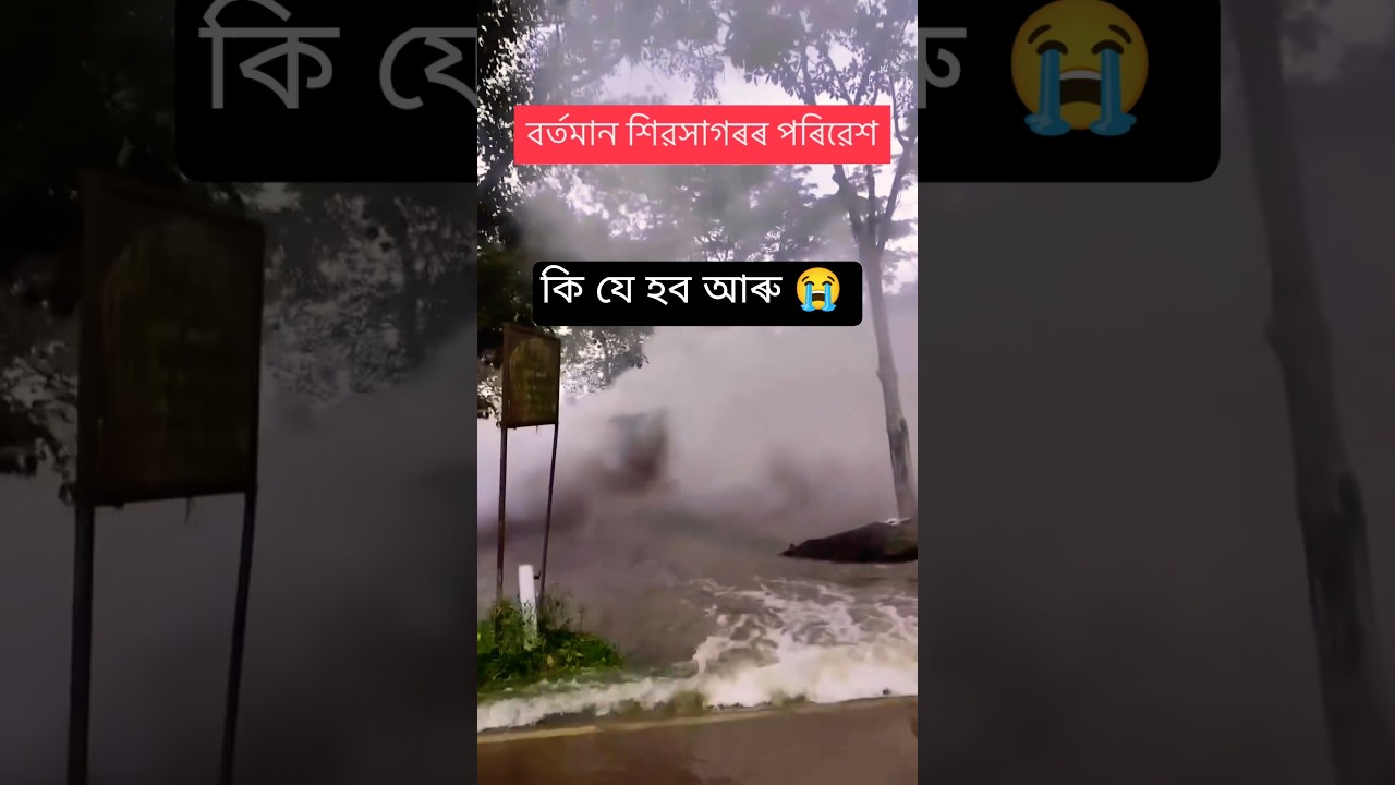 Flood In Assam #assameseshorts #zubeengarg #assamflood #flood #2026 #sibsagar #চৰাইদেউ #helpassam