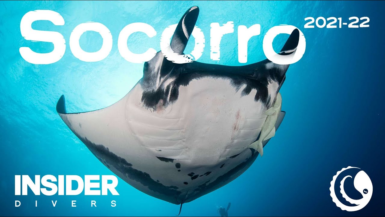Socorro Islands 2021-22 Trip Report