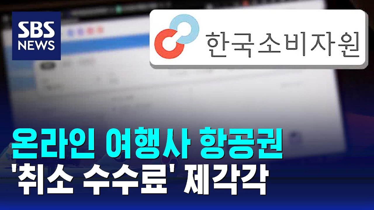 온라인 여행사 항공권, '취소 수수료' 제각각 / SBS