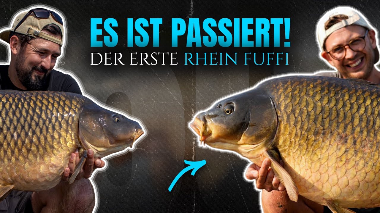 Karpfenangeln am Rhein #6 Der erste Rheinfuffi. 🎣 ⚓️