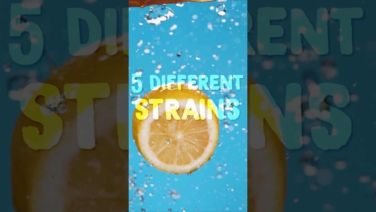 5 AMAZING Lemon & Citrus Phenos 🤯